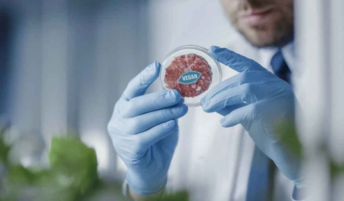 El gobierno de EEUU dio luz verde a la producción de carne cultivada a partir de células El gobierno de EEUU dio luz verde a la producción de carne cultivada a partir de células