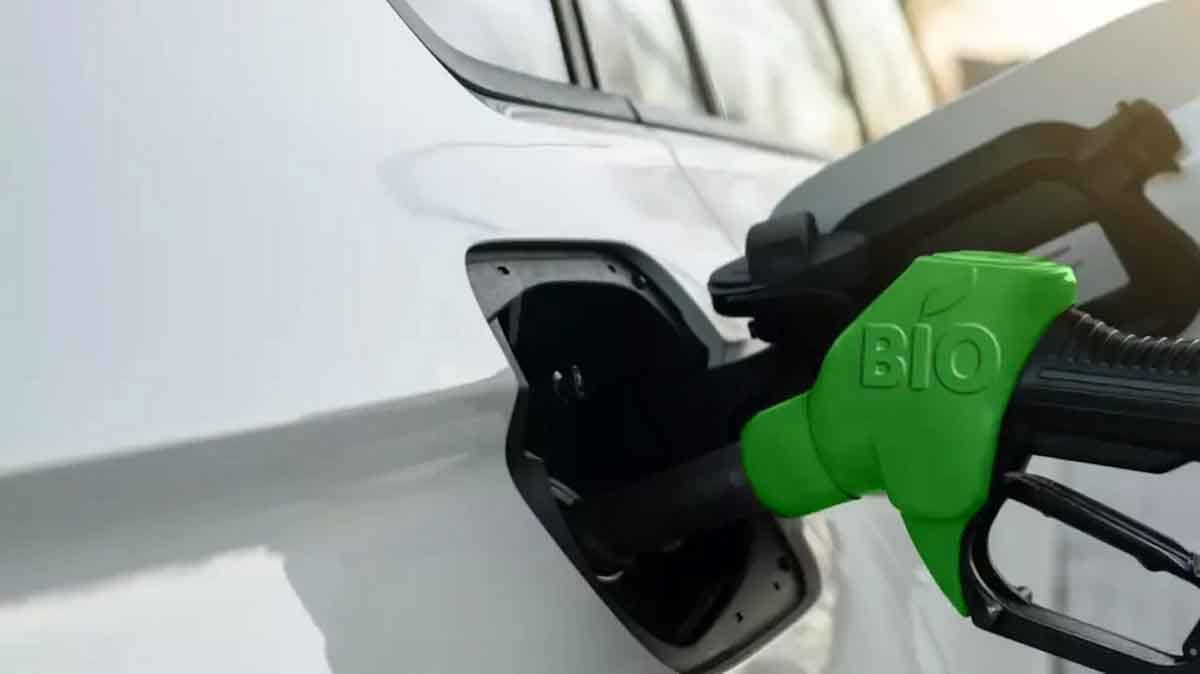 India, Estados Unidos y Brasil trabajarán juntos en el desarrollo de una Alianza Global de Biocombustibles junto con otros países interesados India, Estados Unidos y Brasil trabajarán juntos en el desarrollo de una Alianza Global de Biocombustibles junto con otros países interesados