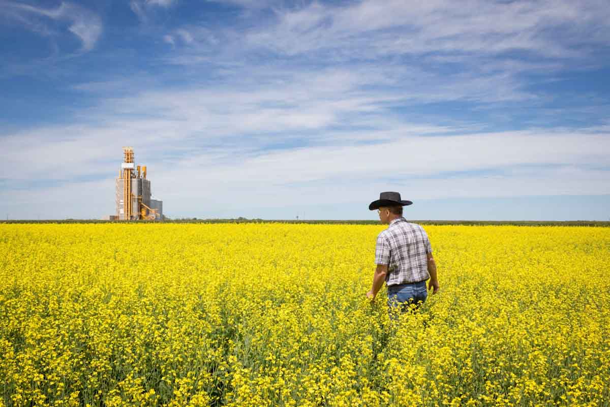 Bunge, Chevron y Corteva se unen para introducir semillas híbridas mejoradas de canola con un perfil de carbono más bajo Bunge, Chevron y Corteva se unen para introducir semillas híbridas mejoradas de canola con un perfil de carbono más bajo