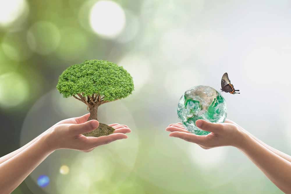 Reforestation,,Sustainable,World,Forest,,And,Tree,Care,Day,Concept:,Elements Alianza estratégica para descarbonizar el mundo de los materiales