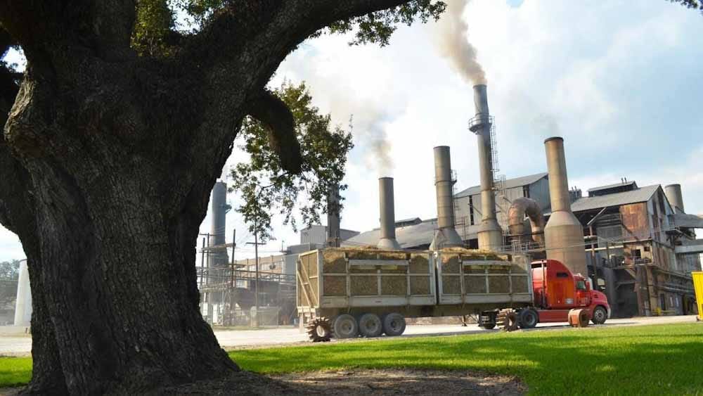 Bagazo de caña de azúcar para calmar el apetito europeo por los pellets de biomasa