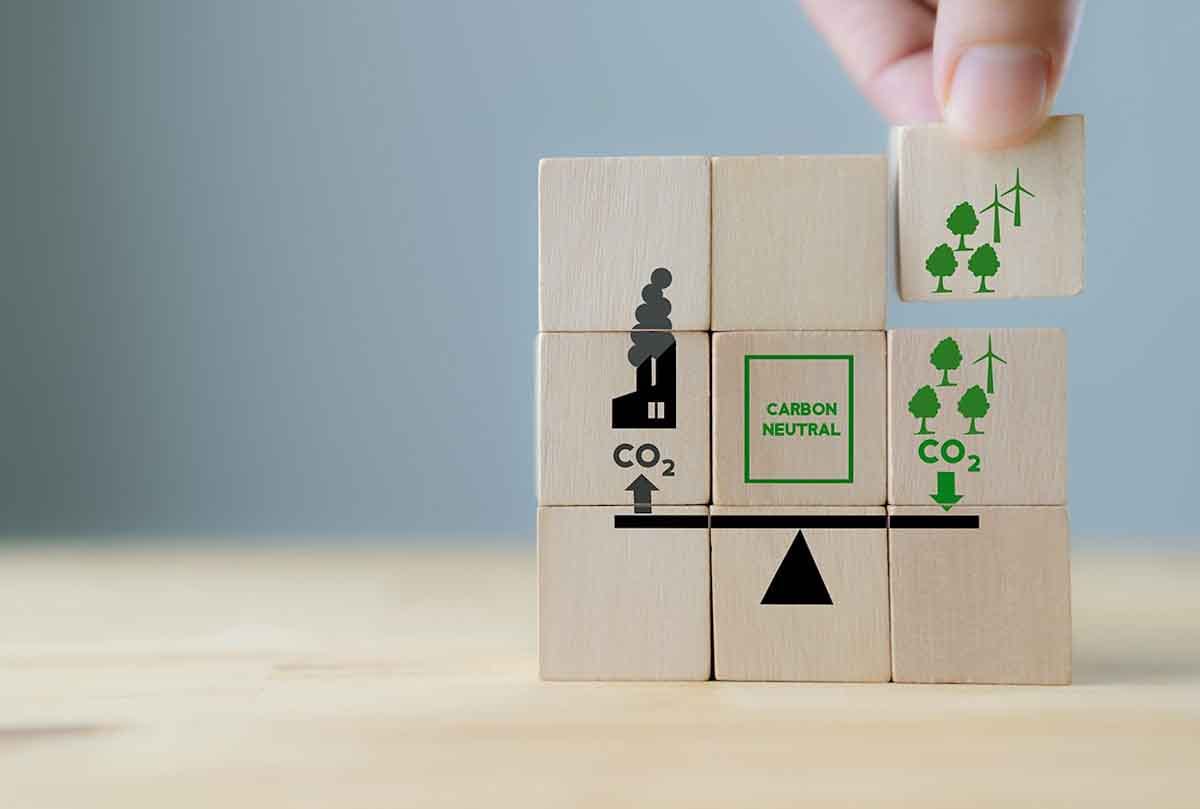 Los Mercados de Carbono en Argentina Oportunidades y Desafíos para el Sector Agroforestal