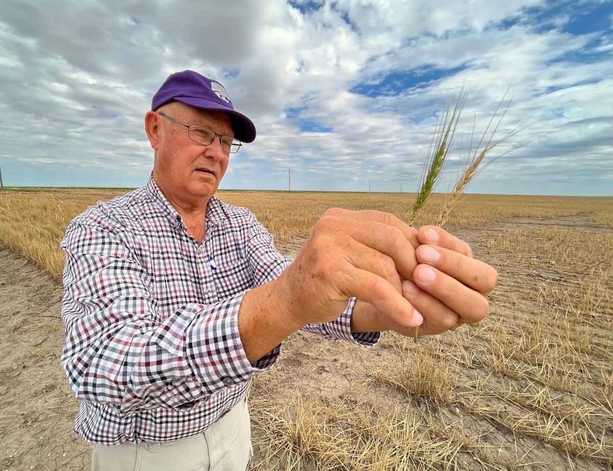 Nestlé redobla esfuerzos para que sus agricultores se vuelquen a la agricultura regenerativa Nestlé redobla esfuerzos para que sus agricultores se vuelquen a la agricultura regenerativa