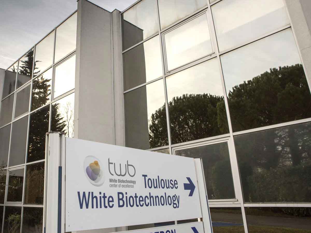 Qué es la 'Biotecnología Blanca' y por qué es clave para el impulso de la bioeconomía
