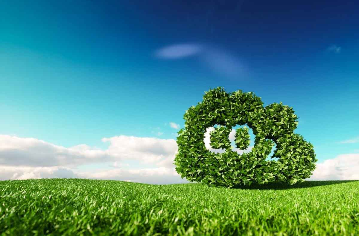 La tendencia de ser carbono neutrales ha llegado a las empresas latinoamericanas La tendencia de ser carbono neutrales ha llegado a las empresas latinoamericanas