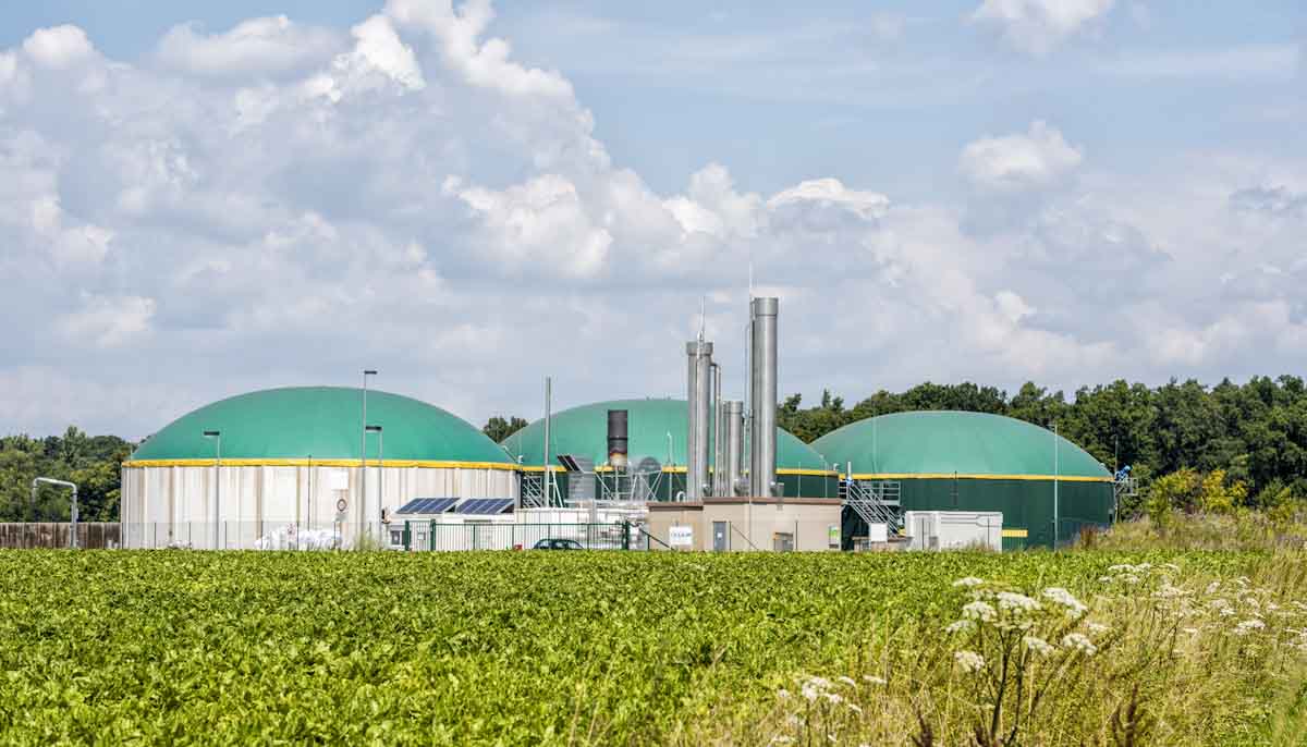 España lanzan una convocatoria para que ganaderos reciban asesoramiento en proyectos de biogás España: lanzan una convocatoria para que ganaderos reciban asesoramiento en proyectos de biogás