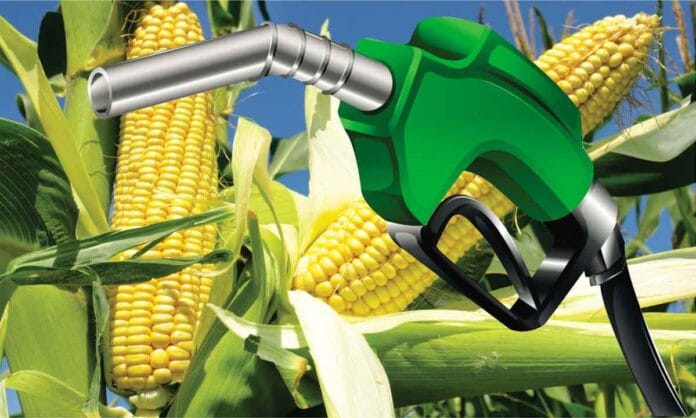 La mayor cooperativa agrícola de Brasil invierta U$S 340 MM para ingresar al mercado de bioetanol