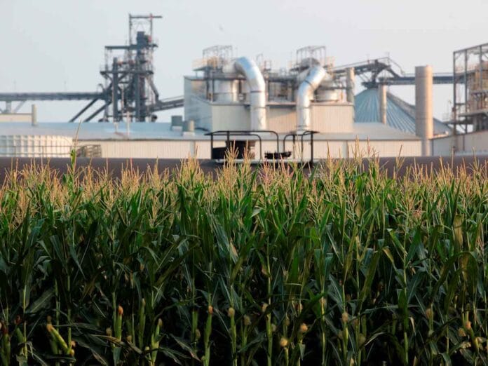 EEUU: alianza estratégica para producir bioetanol de ultra baja huella de carbono EEUU: alianza estratégica para producir bioetanol de ultra baja huella de carbono