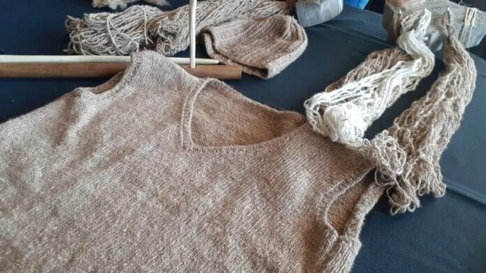 La fibra del guanaco el tesoro oculto de la Patagonia