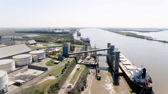Argentina hace punta con exportaciones agropecuarias libre de deforestación Argentina hace punta con exportaciones agropecuarias libre de deforestación