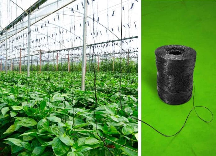 Basf lanzó un hilo negro compostable, ideal para la producción de frutas y vegetales