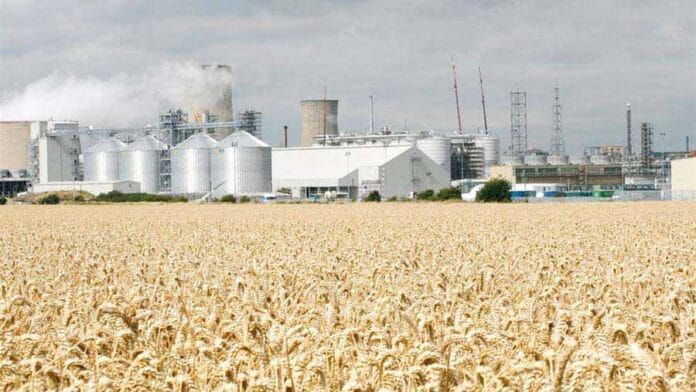 Brasil: todo listo para que comience la construcción de la primera biorrefinería de etanol de trigo en Rio Grande do Sul