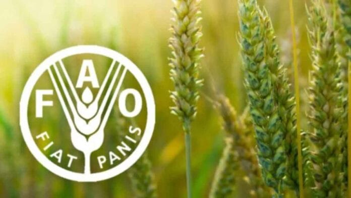 La bioeconomía impulsa la transformación del sector agroalimentario en el Sudeste Asiático La bioeconomía impulsa la transformación del sector agroalimentario en el Sudeste Asiático