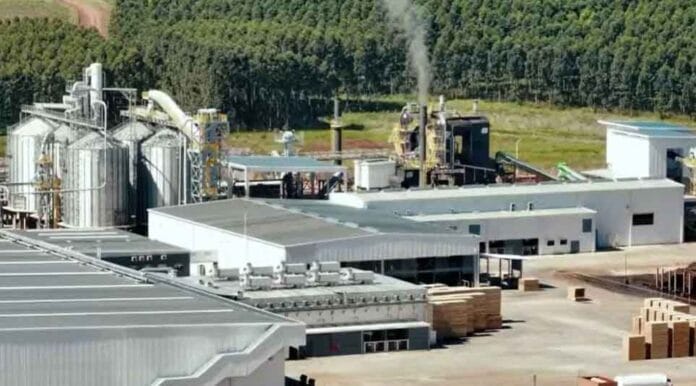Una consultora finlandesa estimó que la foresto-industria podría atraer inversiones por U$S 6 mil millones