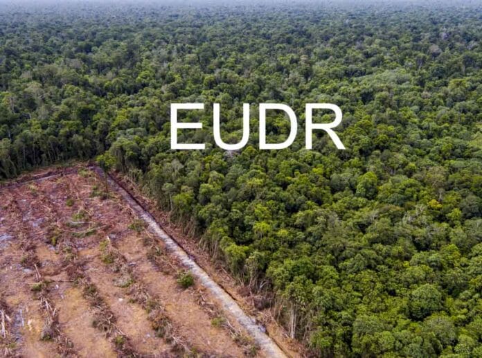 Nueva reglamentación de libre deforestación de la UE: un desafío y oportunidad para el agro argentino