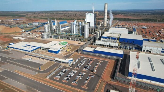 Acaba de inaugurar la mayor planta de celulosa del mundo y funciona con energía de biomasa