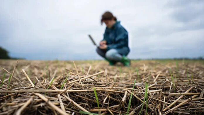 Explorando las barreras y oportunidades de la transición a la agricultura regenerativa en los Estados Unidos