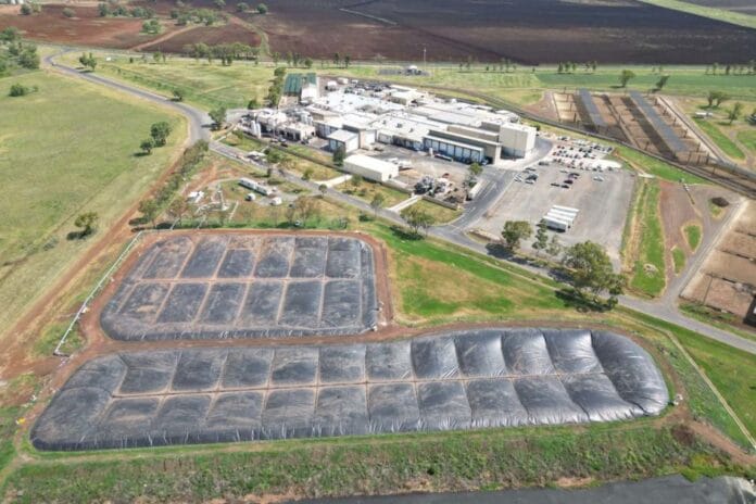 'Alimentos + Energía' el gigante de las proteínas que apuesta por la bioenergía 'Alimentos + Energía': el gigante de las proteínas que apuesta por la bioenergía