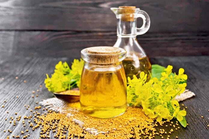 De lubricante de motores a ingrediente en la cocina: el sorprendente viaje de un aceite revolucionario De lubricante de motores a ingrediente en la cocina: el sorprendente viaje de un aceite revolucionario