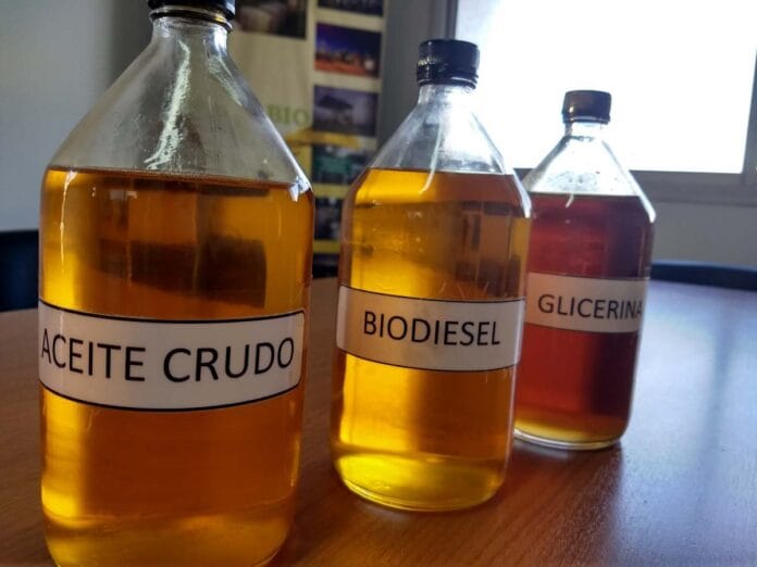 India sube aranceles a la importación de aceite de soja Es el momento de ir por más biodiesel India sube aranceles a la importación de aceite de soja ¿Es el momento de ir por más biodiesel?