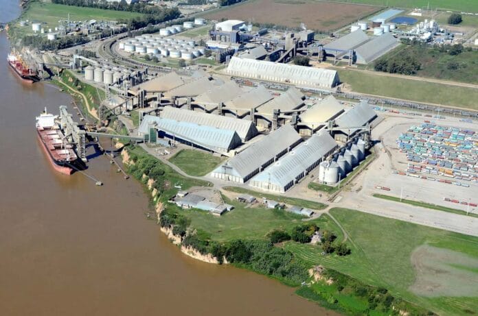 La soja: un cultivo milenario que impulsa la economía moderna