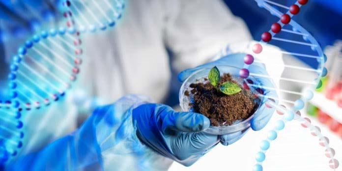 ¿Podrá la edición genética acelerar el futuro de la agricultura? El ambicioso plan de la startup Pairwise y Corteva