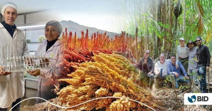 Amazon BioStartups el programa que apuesta por la biodiversidad como motor de desarrollo Amazon BioStartups: el programa que apuesta por la biodiversidad como motor de desarrollo