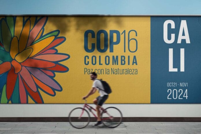 ¿Por qué cada vez más empresas se suman al debate sobre biodiversidad? Las claves detrás del interés empresarial en la COP16