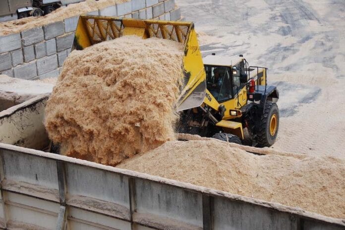 Por qué los seguros pueden ser la clave para desbloquear el financiamiento de proyectos biobasados Por qué los seguros pueden ser la clave para desbloquear el financiamiento de proyectos biobasados
