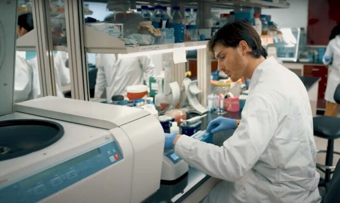 Científicos uruguayos crean cosméticos sostenibles a partir de subproductos de la industria de biocombustibles