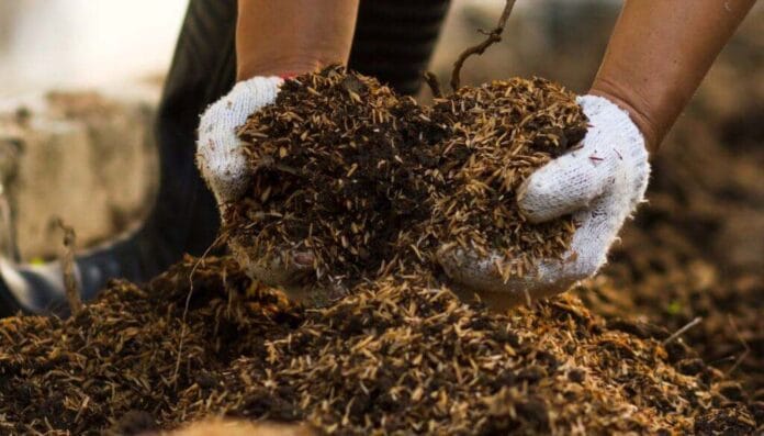¿Qué es el bocashi? El revolucionario bioinsumo que promueve el INTA para mejorar la fertilidad de los suelos