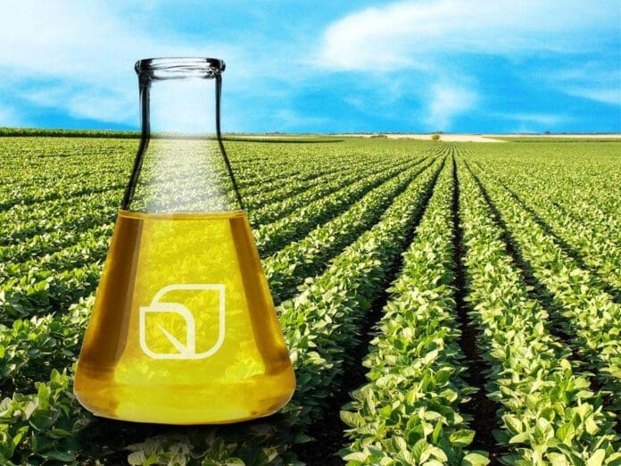 Un avance en biodiesel que podría revolucionar las pequeñas producciones: sencillo, económico y eficiente a baja temperatura