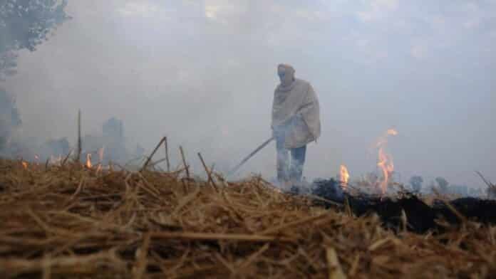Una biorrefinería modular para terminar con la quema de rastrojos y convertirlo en productos de valor