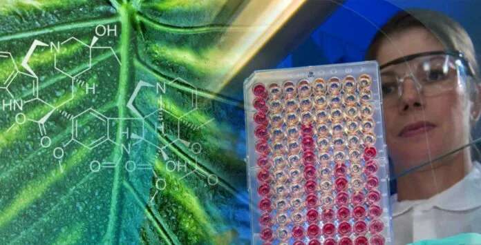 El BID presentó un informe sobre el estado de situación y el potencial de la bioprospección en América Latina -