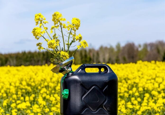 Revolución bioenergética en Canadá el informe que revela cómo los biocombustibles lideran la transición hacia un transporte más limpio