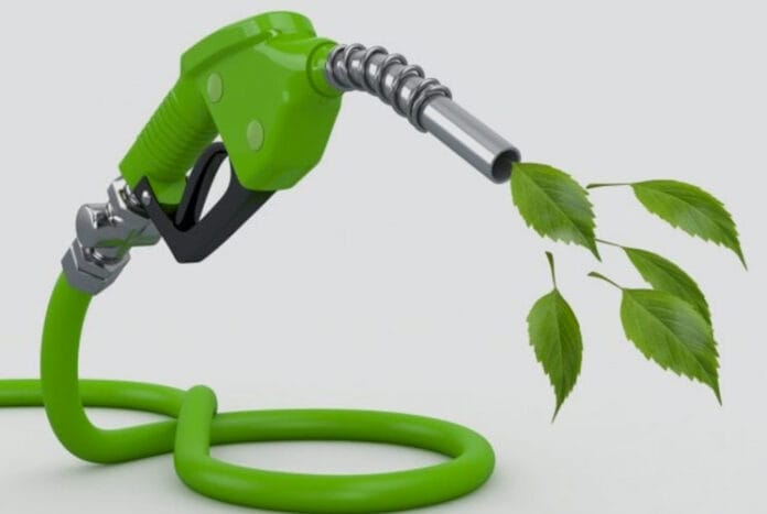 ¿Sabías que ahora también existen combustibles veganos? Descubrí cómo están transformando la energía sostenible