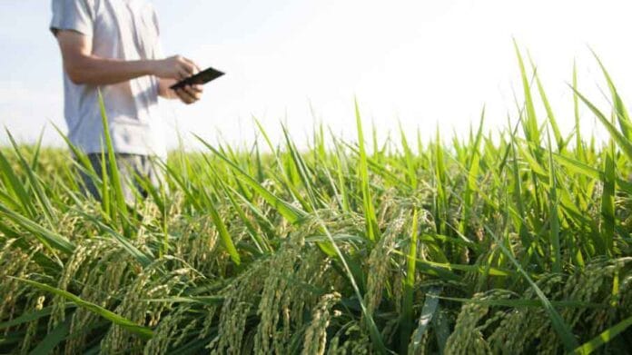 Argentina un gigante en la agricultura responsable que protege la salud ambiental y humana Argentina: un gigante en la agricultura responsable que protege la salud ambiental y humana
