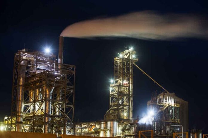 Brasil Cargill redobla su apuesta por los biocombustibles Brasil: Cargill redobla su apuesta por los biocombustibles