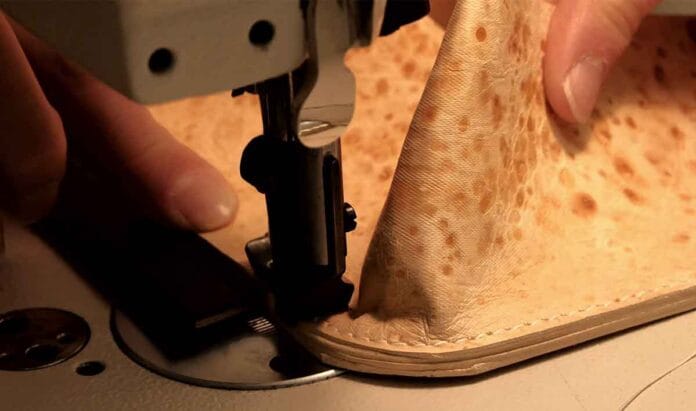 Startup líder en biomateriales de hongos desafía los estándares del lujo Startup líder en biomateriales de hongos desafía los estándares del lujo