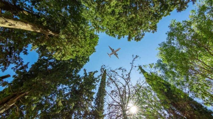 Una alianza japonesa suma a la industria forestal en la carrera por el SAF https://www.bioeconomia.info/2025/01/30/suecia-avanza-con-el-mayor-proyecto-de-captura-de-carbono-en-europa/