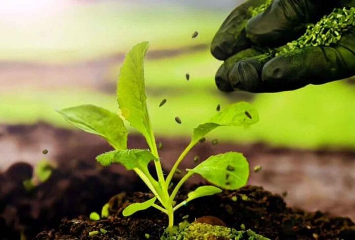 Bioceres logra la aprobación de EPA para Rinotec, un bioinsecticida y bionematicida revolucionario Bioceres logra la aprobación de EPA para Rinotec, un bioinsecticida y bionematicida revolucionario
