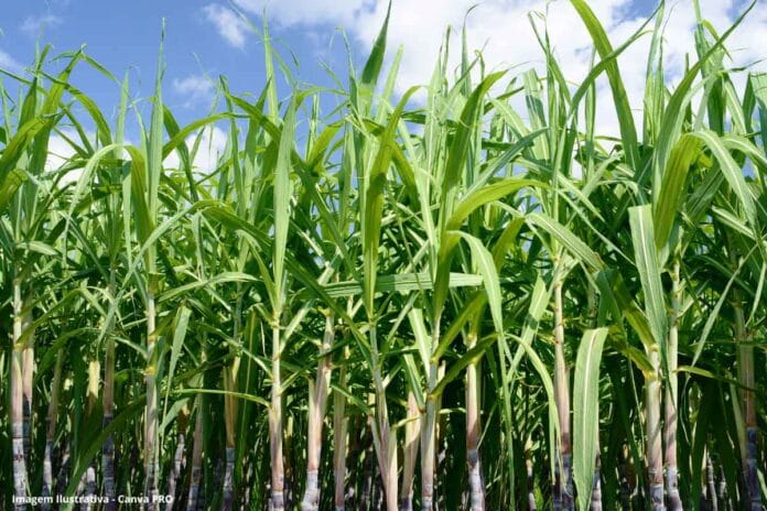 redactar post creativos para las redes sociales twitter, Facebook, Linkedin e Instagram para que el público se entusiasme a leer el artículo