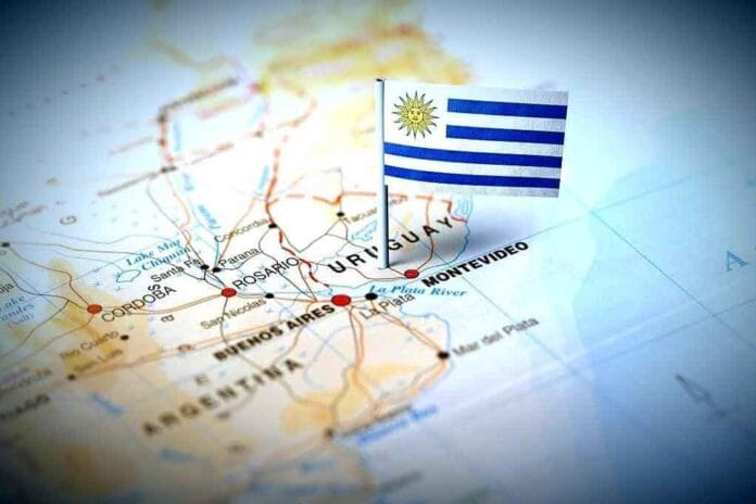 Uruguay se posiciona como líder en la transición bioenergética con la mayor inversión privada de su historia