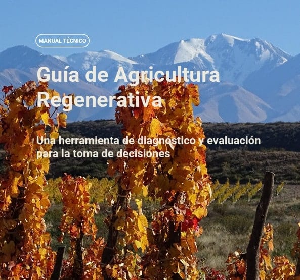 Agricultura regenerativa: Unilever, Knorr e INTA lanzan la primera guía para Latinoamérica y abren un nuevo capítulo en la producción sustentable