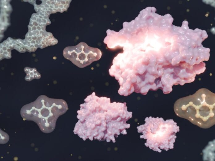 Una enzima promete transformar residuos forestales en ingredientes para fragancias, fármacos y biocombustibles Una enzima promete transformar residuos forestales en ingredientes para fragancias, fármacos y biocombustibles