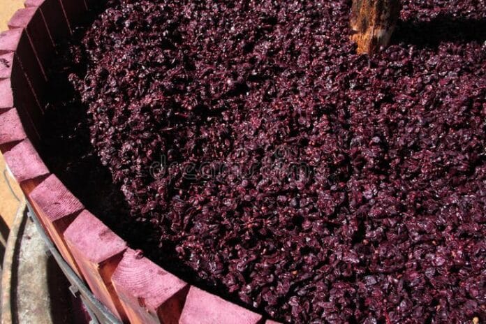 Europa ratifica el doble conteo para el bioetanol de residuos vínicos, en medio de sospechas de fraude