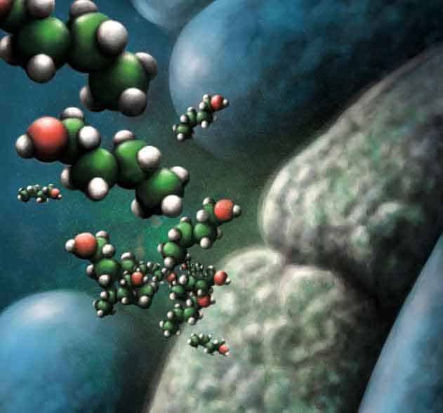 Rompiendo el código de la vida: cómo la ciencia desbloquea bioproductos más eficientes