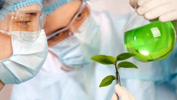 Transformar CO2 en oro verde: la revolucionaria tecnología española que convierte biomasa residual en productos químicos de alto valor