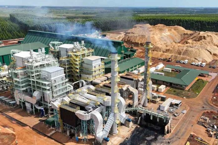 La central a biomasa San Alonso será inaugurada hoy por el gobernador Valdés Central a biomasa San Alonso