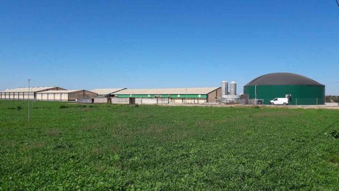 El Gobierno de Cataluña convierte en política de Estado el aprovechamiento de los residuos de su poderosa industria del cerdo Planta de biogás en Cataluña como solución a los residuos porcinos